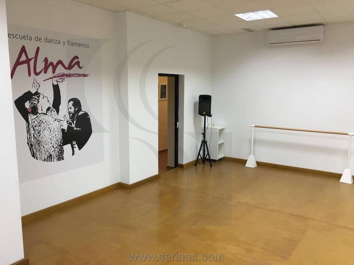insonorización escuela de danza y flamenco Alma