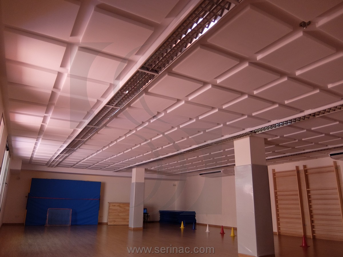 materiales acústicos gimnasio