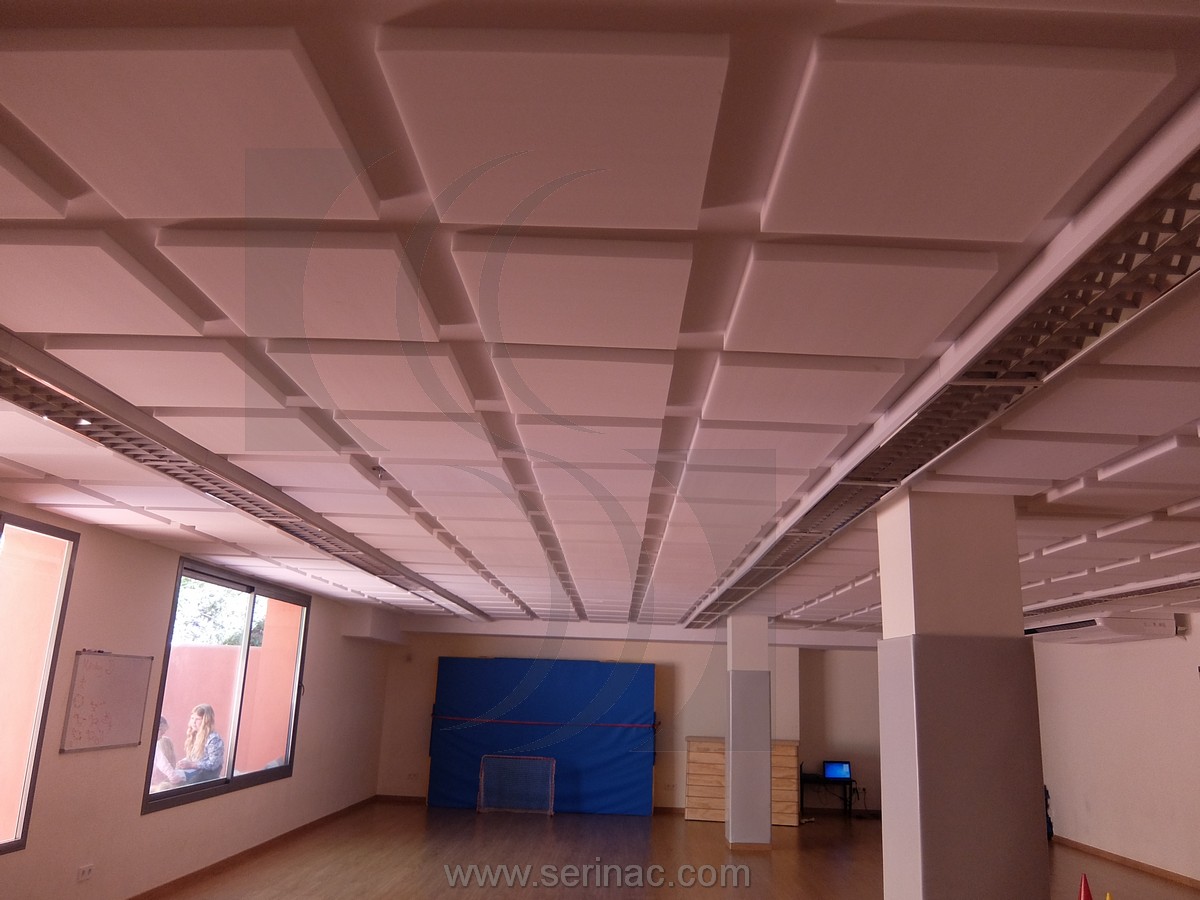 paneles acústicos techo gimnasio