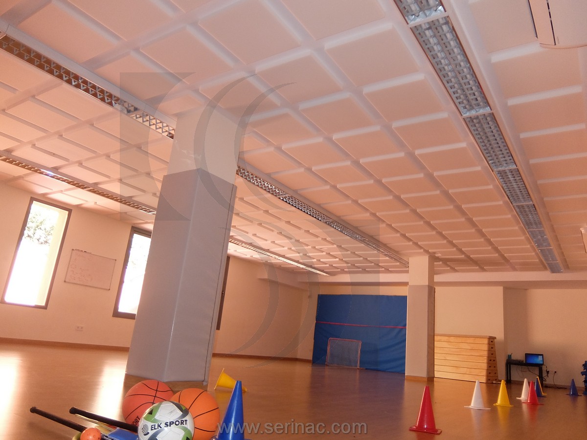 Tratamiento acústico gimnasio