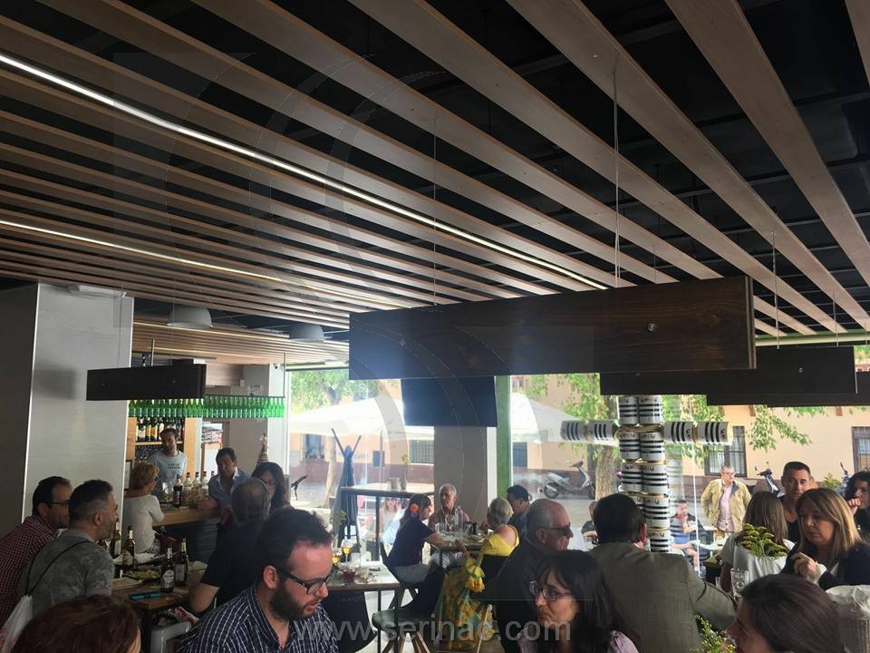 Insonorización restaurante Granada