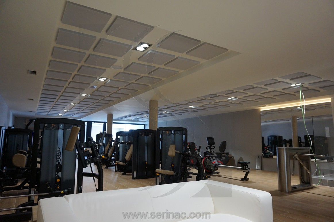 Reverberación gimnasio