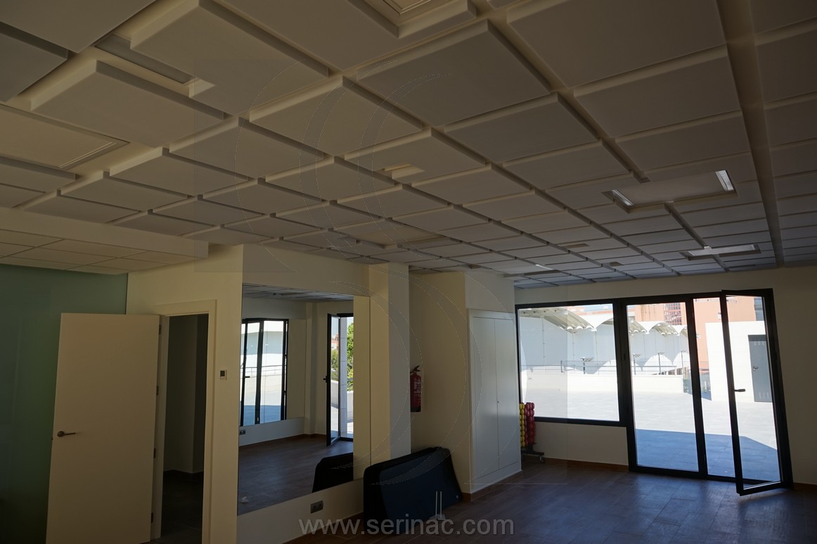 Insonorizacion Gimnasio