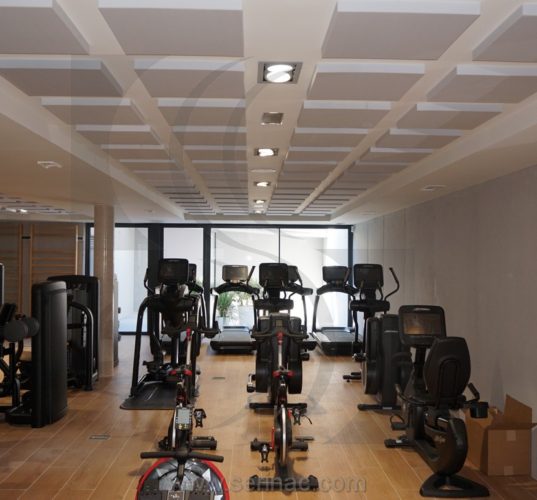 Paneles acústicos gimnasio